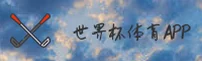 想找世界杯官方APP？送你一条直达正版的绿色通道。